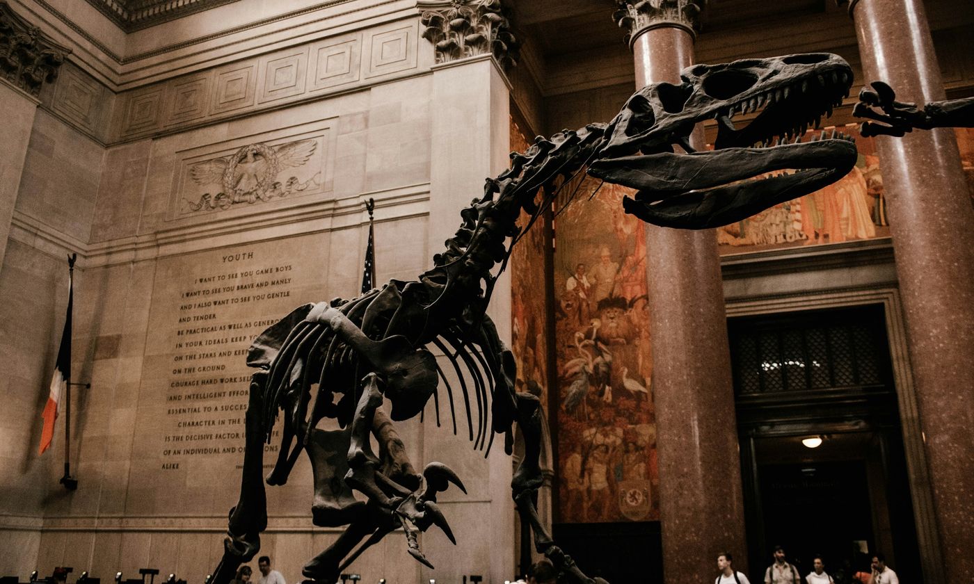 Squelette de dinosaure dans la rotonde du muséum d’histoire naturelle (AMNH)